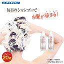 【期間限定】ポイント20倍 公式 アートネイチャー iiRo(イーロ) 白髪を染めるカラーコンディショナー 200mL コンディショナー 2本セット 単品 白髪染め 白髪 女性用 男性用 レディース メンズ 黒髪 生え際 根元
