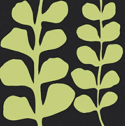 【Denise Duplock | デニス・デップロック アートポスター】『GREEN FERN ON BLACK』(305×305mm) - おしゃれインテリアに - 緑 アートポスター
