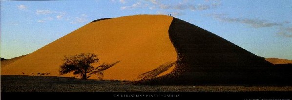 ナミビア (33cm×95cm)