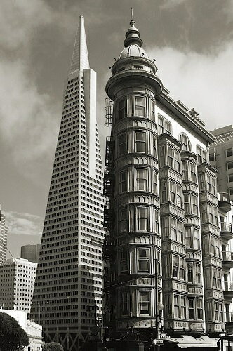 SAN FRANCISCO ICONIC BUILDINGS(304×457mm) -おしゃれインテリアに-（サンフランシスコ 余白カット済ポスター）