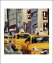 ڥȥݥNEW YORK TAXI 6(281358mm) -쥤ƥꥢ-