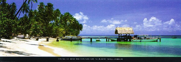 【フォトポスター】カリブ トバゴのピジョンポイントビーチ (33cm×95cm)