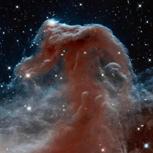 【NASA 宇宙写真 フォトポスター】HORSEHEAD(馬頭星雲)(510×510mm) -おしゃれインテリアに-(余白カット済みポスター)