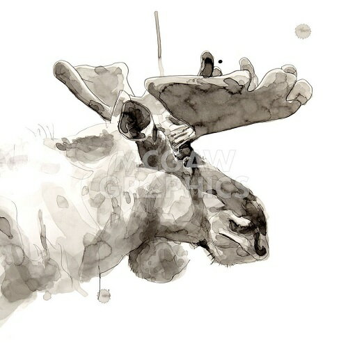 【Philippe Debongnie アートポスター】MOOSE（305×305mm) -おしゃれインテリアに-　ムース・動物
