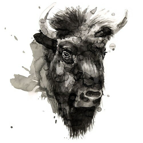 【Philippe Debongnie アートポスター】BUFFALO（305×305mm) -おしゃれインテリアに-　バッファロー・動物