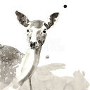 【Philippe Debongnie アートポスター】DEER(406×406mm) -おしゃれインテリアに-　しか・動物