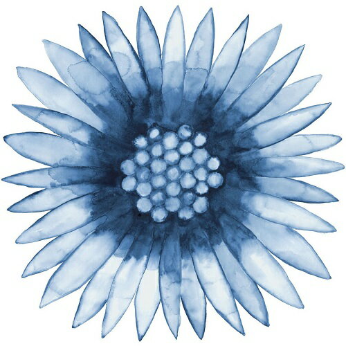 Cathe Hendrick アートポスター『BLUE DAISY』(510×510mm) -おしゃれインテリアに- (余白カット済みポ..