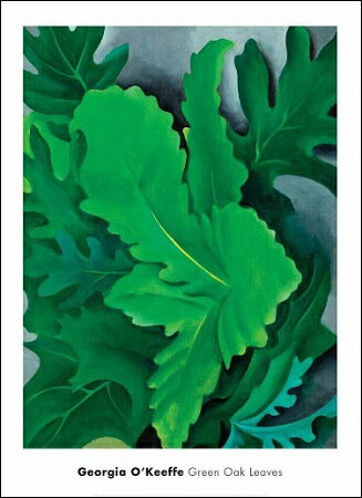 【ジョージア・オキーフ 絵画 アートポスター】GREEN OAK LEAVES, 1923(560x762mm) -オキーフ- おしゃれインテリアに