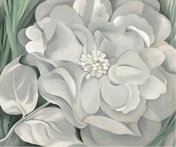 【ジョージア・オキーフ 絵画 アートポスター】THE WHITE CALICO FLOWER, 1931(635x762mm) - おしゃれインテリアに - 余白カット済みポスター