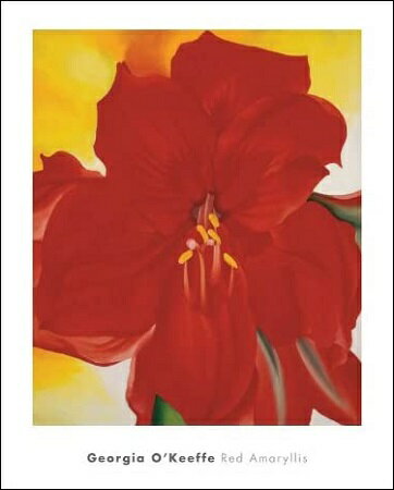 【ジョージア・オキーフ 絵画 アートポスター】RED AMARYLLIS, 1937(610x762mm) - おしゃれインテリアに -