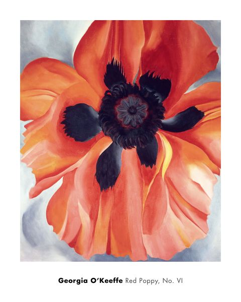 【ジョージア・オキーフ 絵画 アートポスター】Red Poppy, No. VI, 1928(610x762mm) - おしゃれインテリアに -