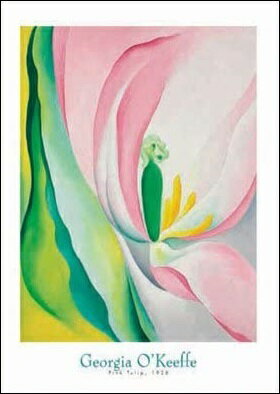 【ジョージア・オキーフ 絵画 アートポスター】PINK TULIP, 1926(610x762mm) -オキーフ- おしゃれインテリアに