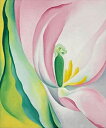 【ジョージア・オキーフ 絵画 アートポスター】PINK TULIP, 1926(510x610mm) - おしゃれインテリアに - 余白カット済みポスター