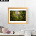 【グリーン&ボタニカル シリーズ 額付 アートポスター】ロバート・ロット『Oregon Waterfall』(320×390×15mm) - おしゃれインテリア...