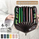 【楽天1位】 カードケース レディー