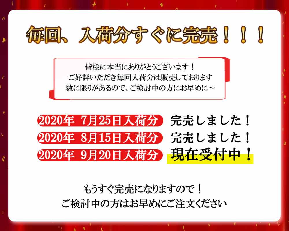 ★楽天1位★【40時間使用可能 モバイルバッテリー機能付き 】 自転車 ライト LED 防水 USB充電式 5200mAh マウンテンバイク ロードバイク クロスバイク 明るい サイクルライト 取り外し可能 ハイビーム ロービーム 盗難防止