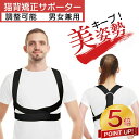 【P5倍還元★65%OFF激アツセール中】姿勢矯正ベルト 男性 姿勢サポーター 猫背 ねこ背 巻き肩 矯正 背筋矯正ベルト 姿勢ベルト 背筋ベルト 改善 猫背改...