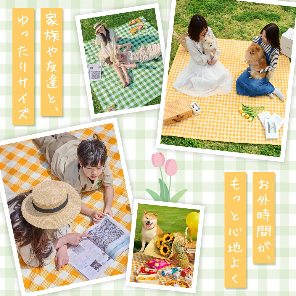 ��P5�ܢ�1,150�ߡ� �ԥ��˥å������� �쥸�㡼������ ��Ƚ 200��150 �ޤꤿ���� ���� ���� ����ѥ��� 4��6���� �ָ� ��­ ��ư�� BBQ �� �� �����ȥɥ� ������ ���� �쥸�㡼 ���å� �Ҷ��� ����ƥ��󥰥ޥå� newlife2026