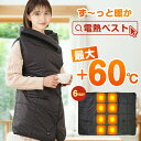 5/5限定【P5倍★クーポンで最安4,706円】電気毛布 120x90cm 電気ひざ掛け 掛け敷き兼用 ひざ掛 電気ブランケット 着る毛布 ヒーターブランクケッ...
