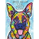 HEYE Puzzle・ヘイパズル 29732 Dean Russo : Dogs Never Lie 1000ピース