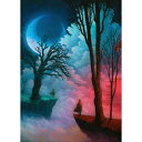 HEYE Puzzle ヘイパズル 29880 Andy Kehoe : Worlds Apart 1000ピース