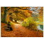 D-Toysǥȥѥ 72795-BR02 Hans Andersen Brendekilde : A Wooded Path in Autumn 1000ԡ 4768cm