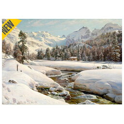 D-Toys・ディートイズパズル 77417-MO06 Peder M&#248;rk M&#248;nsted : Winter Landscape in Switzerland near Engadin 1000ピース 47×68cm