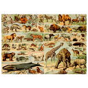 D-Toys ディートイズパズル 76793 Encyclopedia : Wild Animals 1000ピース 47×68cm