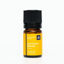 ARTQ ORGANICS アンチインセクトバリアブレンドオイル【5ml】アロマティーク オーガニック 精油 アロマ エッセンシャルオイル ハウスバリア ハウスキーピング 抗菌 掃除 アロマオイル 日本製 安心(4)