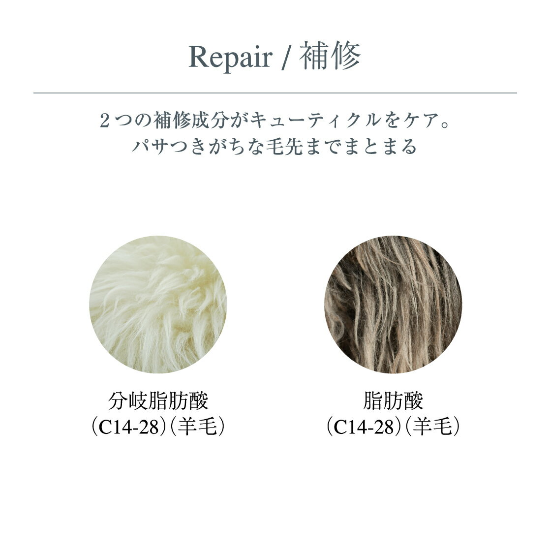 【毎日ポイント5倍!!】ISM(イズム)シャンプーamp;トリートメント&ヘアオイルセットシェルピンク