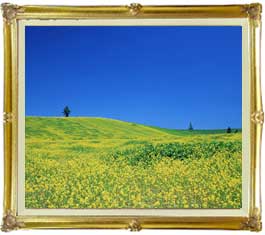 春-菜の花畑- F20サイズ　【油絵 直筆仕上げ絵画】【額縁付】　油彩　風景画　オリジナルインテリア絵画　風水画　インテリアアート絵画　20号