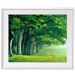 Rakuten - 【油絵 直筆仕上げ】the green woods アートフレーム：色シルバー サイズ 額入りL 641×531mm 【布キャンバス・額表面保護板】 油彩 風景画 オリジナルインテリア絵画 風水画