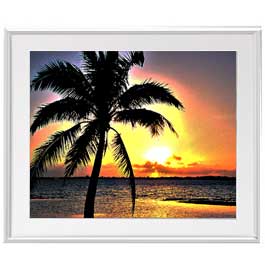 ������ ľɮ�ž夲�ۥ��󥻥åȥӡ��� �����ȥե졼�ࡧ������С� ������ ������L 641��531mm ���ۥ����Х�����ɽ���ݸ��ġ� ���� ���ʲ� ���ꥸ�ʥ�...