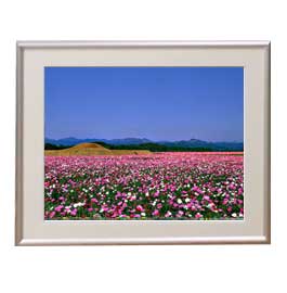【油絵 直筆仕上げ】澄みゆく花畑 アートフレーム：色シルバー サイズ 額入りM 511×418mm 【布キャンバス・額表面保護板】 油彩 風景画 オリジナルインテリア絵画 風水画