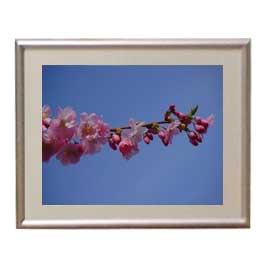 Rakuten - 【油絵 直筆仕上げ】Flowers フラワーズ ♯010 アートフレーム サイズ 額入りS 【油彩 布キャンバス 国内生産】 花の絵 静物画 310×260mm インテリアアート 複製画 送料無料