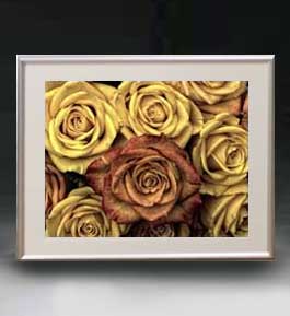 ������ ľɮ�ž夲��Flowers �ե��� ��005 �����ȥե졼�� ������ ������M ������ �ۥ����Х� ���������� �֤γ� ��ʪ�� 511��418mm...