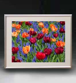 油絵 絵画 直筆仕上げ Flowers フラワーズ ♯042 アートフレーム サイズ 額入りM 【油彩 布キャンバス 国内生産】 花の絵 静物画 511×418mm インテリアアート 複製画 送料無料 絵画 販売 インテリア 油絵 油彩 壁掛け 複製画 風景画 ゴッホ モネ ルノワール その他 静物画 肖像画 アート プレゼント 開業祝い 退職祝い 新築祝い 玄関 リビングアート 風水 縁起 フレーム 贈り物Flowers フラワーズ 42