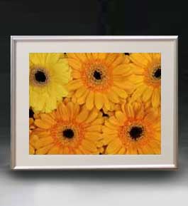 ������ ľɮ�ž夲��Flowers �ե��� ��044 �����ȥե졼�� ������ ������M ������ �ۥ����Х� ���������� �֤γ� ��ʪ�� 511��418mm...