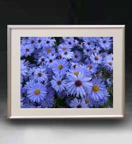 【油絵 直筆仕上げ】Flowers フラワーズ ♯045 アートフレーム サイズ 額入りM 【油彩 布キャンバス 国..