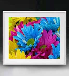 ������ ľɮ�ž夲��Flowers �ե��� ��018 �����ȥե졼�� ������ ������L ������ �ۥ����Х� ���������� �֤γ� ��ʪ�� 641��531mm...