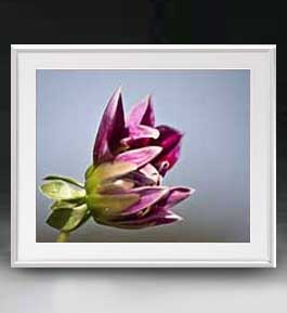 【油絵 直筆仕上げ】Flowers フラワーズ ♯031 アートフレーム サイズ 額入りL 【油彩 布キャンバス 国..