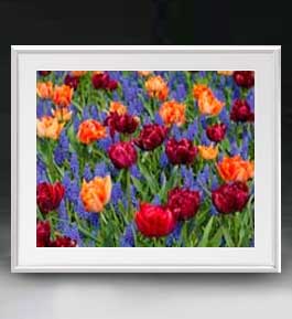 【油絵 直筆仕上げ】Flowers フラワーズ ♯042 アートフレーム サイズ 額入りL 【油彩 布キャンバス 国..