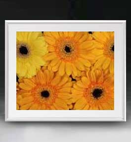 【油絵 直筆仕上げ】Flowers フラワーズ ♯044 アートフレーム サイズ 額入りL 【油彩 布キャンバス 国..