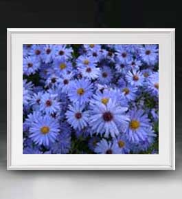 【油絵 直筆仕上げ】Flowers フラワーズ ♯045 アートフレーム サイズ 額入りL 【油彩 布キャンバス 国..