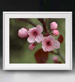 【油絵 直筆仕上げ】Flowers フラワーズ ♯052 アートフレーム サイズ 額入りL 【油彩 布キャンバス 国..