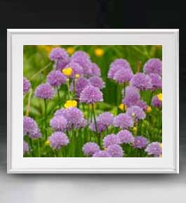 【油絵 直筆仕上げ】Flowers フラワーズ ♯053 アートフレーム サイズ 額入りL 【油彩 布キャンバス 国..