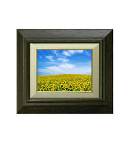  ľɮž夲ۤҤޤȪ F0  ڳ    ʲ 330290mm ۱ ֥饦 ʣ ̵ ץ쥼 ...