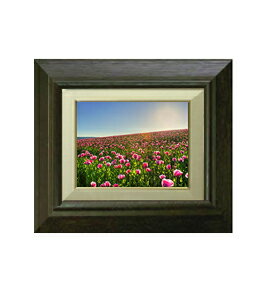 【油絵 直筆仕上げ】春の花々 F0サイズ 額入り 【額入り】 絵画 販売 油彩 風景画 330×290mm 額縁: ブラウン 複製画 送料無料 プレゼント ギフ...