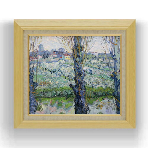 ������ ľɮ�ž夲�ۥ��å� �����θ�����ֺ餯�̼��� F10 �ڳ������ ���� ���� 10�� ���� ���ʲ� 675��601mm ʣ���� ����̵�� �ץ쥼��� ...