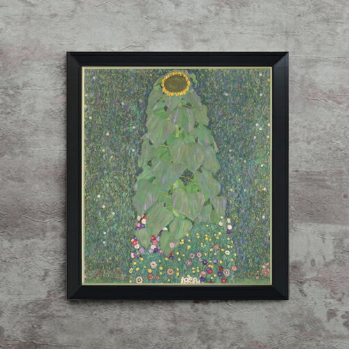 ������ ľɮ�ž夲�ۥ����� Sunflower F10 �ڥ���ץ�ե졼��� ���� ���� 10�� ���� ��ݲ� 560��485mm ʣ���� ����̵�� �ץ쥼��...